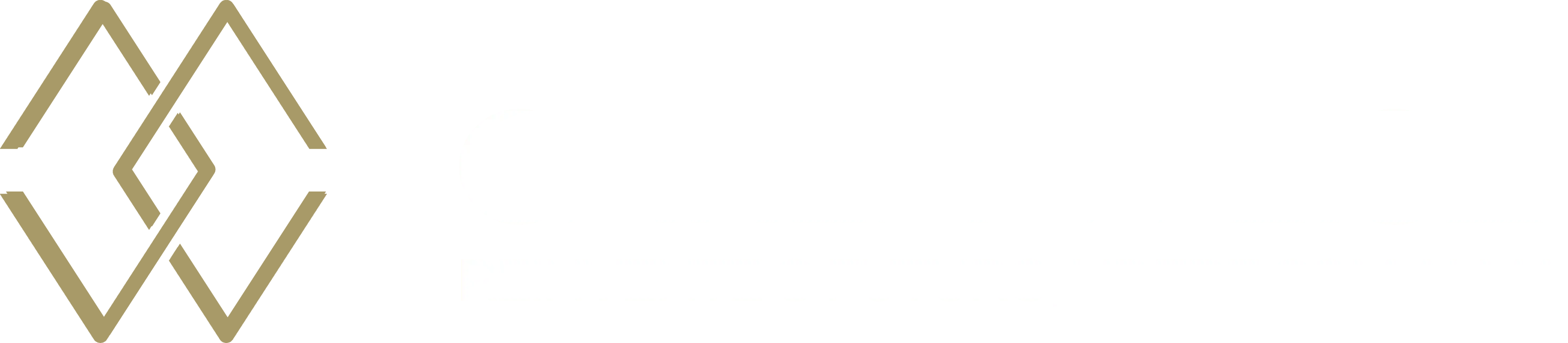 Reinvente o Futuro, Lidere com Alma